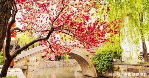 次韵|次韵范成大先生的《惜分飞·易散浮云难再聚》