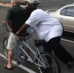 |搞笑动图:没有犁坏的地,只有累死的牛!