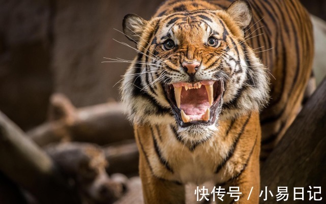 纳财纳福|未来几个月，霉运结束，3生肖扭转乾坤，招财纳福，人生进入佳境