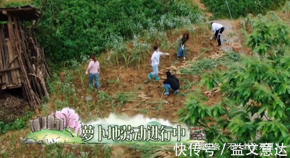 《向往》造假嚴(yán)重蘿卜現(xiàn)種的,魚塘現(xiàn)挖的,全靠工作人員搞衛(wèi)生