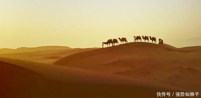 兄弟团 一博为啥叫“王一觉”,导演组与兄弟团的弱爆之战,究竟谁是胜者