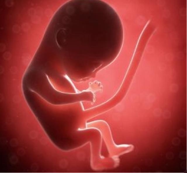 脐带|女性在孕期做这个动作,就会造成胎儿脐带绕颈,是真的吗