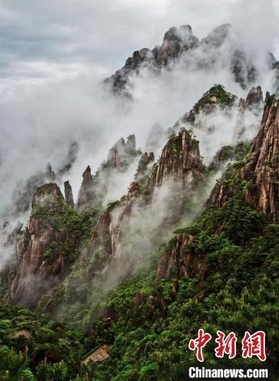 遗产|雨后江西三清山现壮美云海景观 云缠雾绕充满仙韵