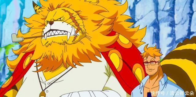 马尔科|海贼王解读马尔科身为最强四皇的皇副,为何他的实力会被质疑!