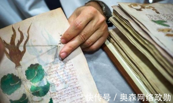 图源@这本“天书”600年来无人能解,如今终于看见了希望