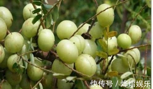 女性朋友|不想变大妈,3种食物轮流吃,滋补肾脏暖子宫,护你容颜不衰