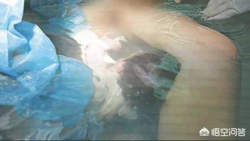 宝宝|产妇在水中生孩子是不是可以避免由于各种胎位不正引起的胎儿缺氧或窒息？