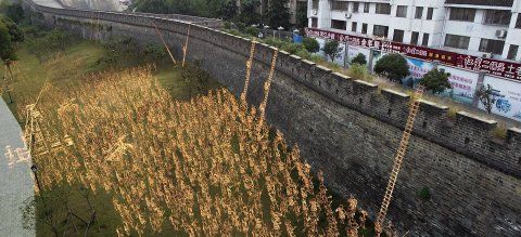 水雷社|那个让无数中国玩家通宵的帝国时代，苦等了16年，最新作终于来了