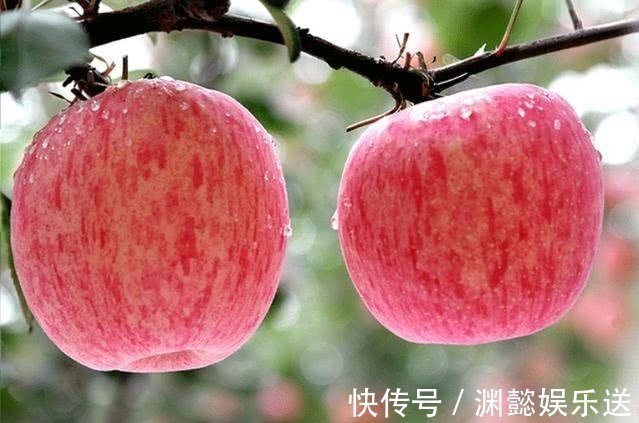 减肥瘦身|晚上吃苹果,对健康是利是弊很多人不清楚,值得分享出去