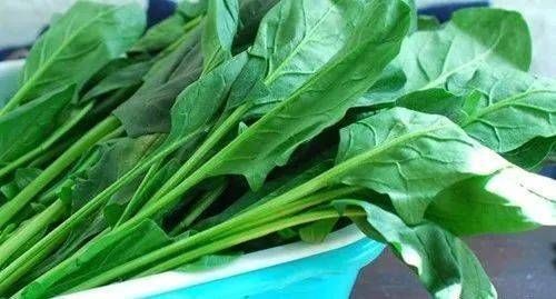 土豆|这个东西要连皮吃，大病小病都不怕，最便宜的才几元一斤