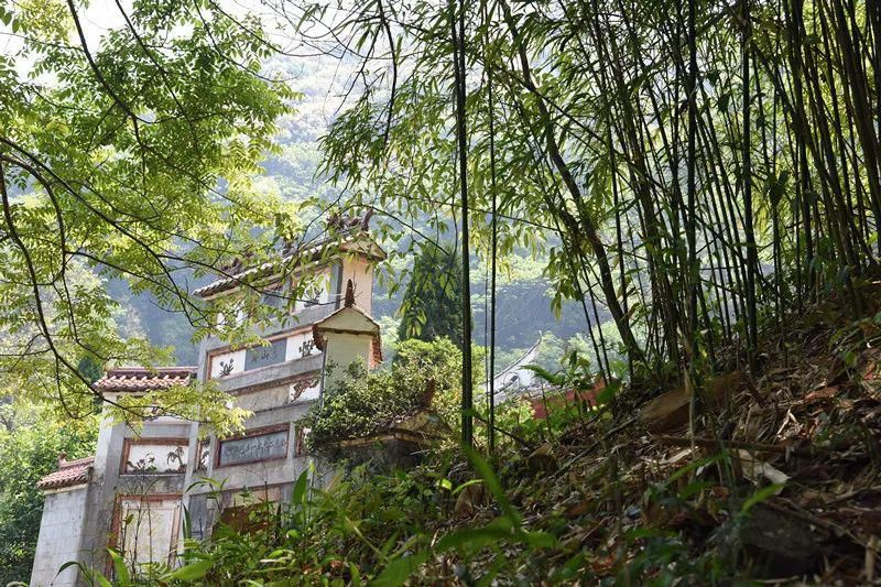 历史|延平：这座立于海拔600米的千年古寺，记录下峡阳千年前的动人时光