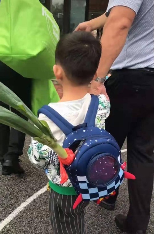 学校|孙子第一天上学,爷爷让孙子带葱去学校,网友:我跟清华就差根葱
