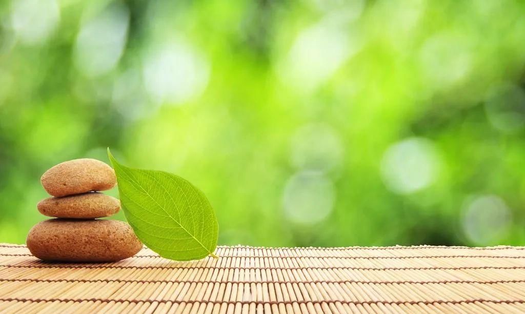 心理学|心理学定理大全之——“鸟笼效应”