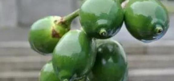 槟榔|你不知道的4种水果, 尽量少给孩子吃, 尤其最后一种!