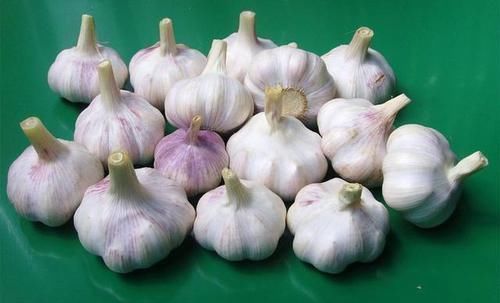 大蒜|忠告大蒜不能与此物同食，吃了就是没病找病，现在知道还不晚