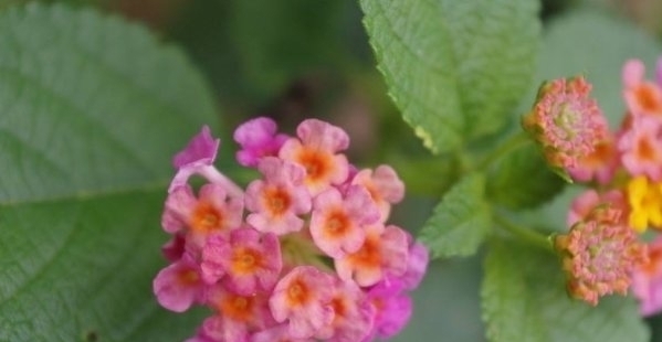 大事|日后能成大事的人,都具备这4大特征,尤其是最后一种最能成大事