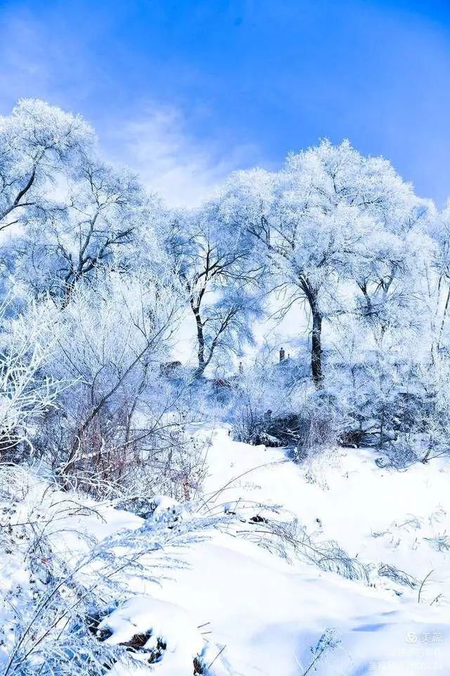 童话|冰天雪地，童话吉林