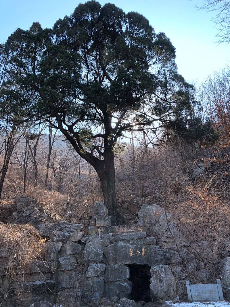 黑牛寨|济南后花园南部山区的神奇黑牛寨、千年龙吟泉探秘