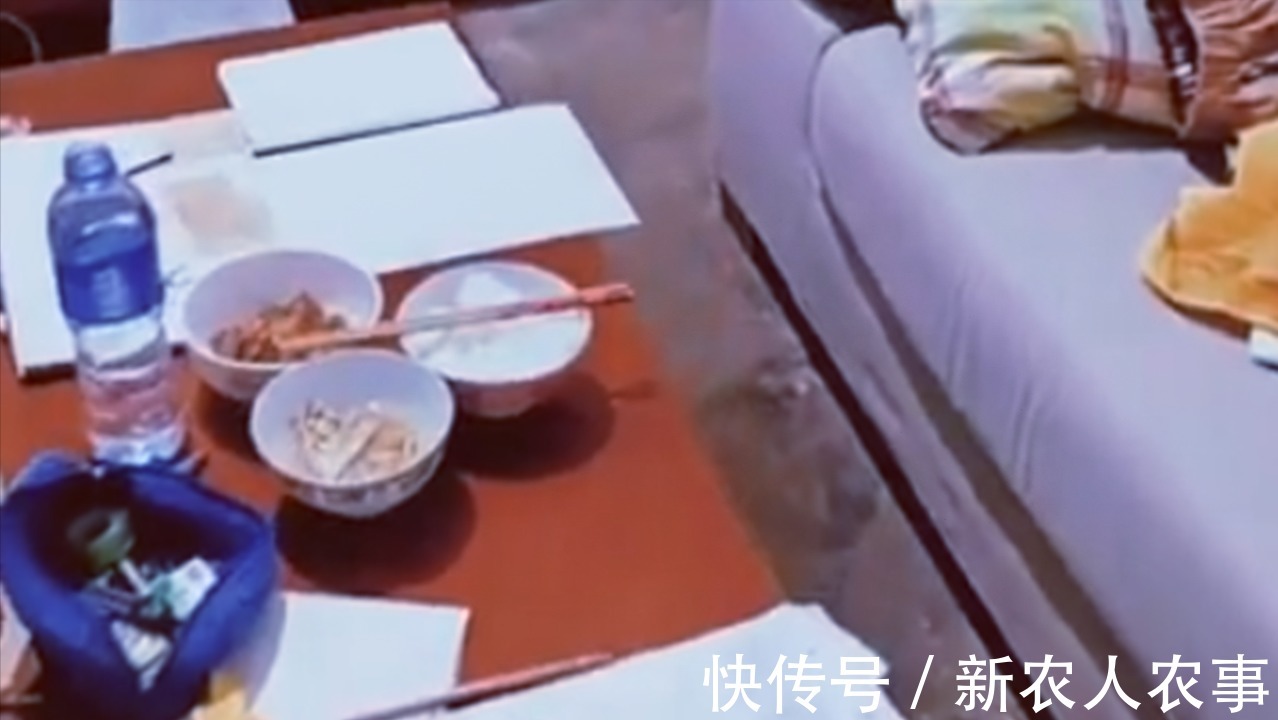 孩子|一单亲爸爸深夜下班回家,看见儿子给自己的留饭和留言,瞬间崩溃