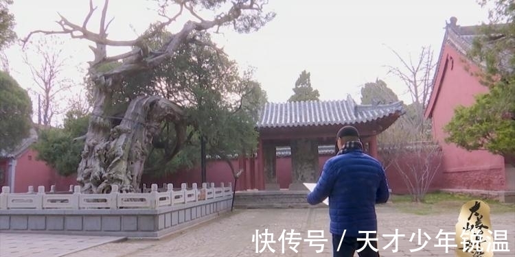 岱庙&著名画家张宜:大美山东韵,泰山松柏长