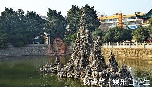 洛社!七律:碧湖诗社年会观感