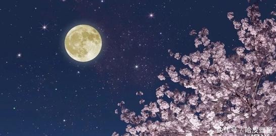 中秋佳节|中秋节为何会变成节宠?从祭月赏月入手,聊一聊与月亮有关的习俗