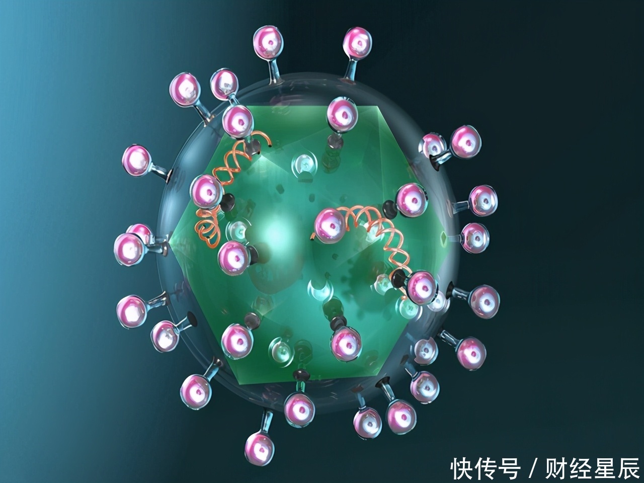  多长时间|乙肝到肝癌，需要多长时间？肿瘤科医生：做好3事，肝会很安全