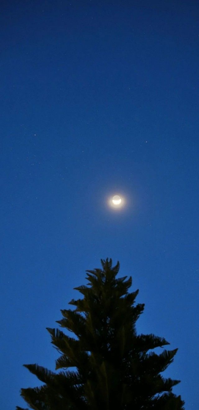 明早，星星月亮“歪嘴笑”