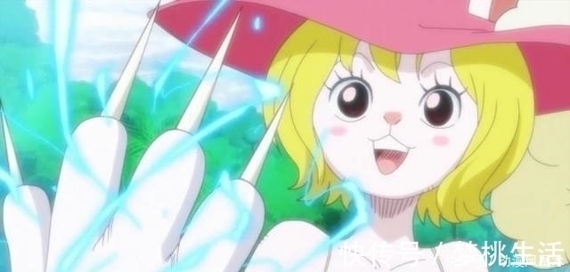 佩德羅|海賊王 5只月亮獅子帥氣, 佩德羅霸氣, 加洛特高冷, 貓蝮蛇肥壯