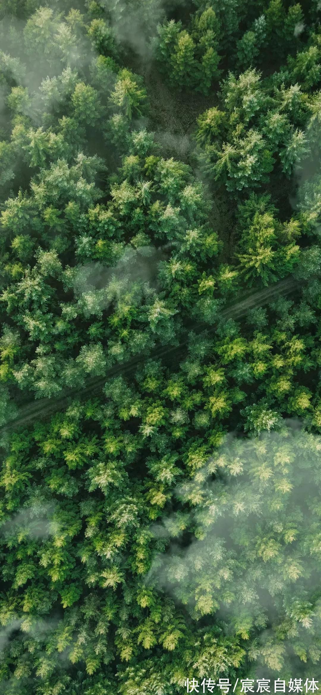 永远在一起|一批怦然心动的手机壁纸