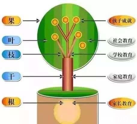 孩子|父母能力都是有限的，教育从小事做起，会对孩子成长起到关键性的作用