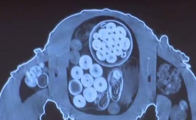  国宝|要佛像还是要国宝？佛像身中“装藏”宝物，日本专家陷入两难境地