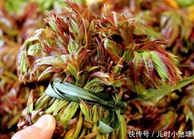 消化|农村这些野菜,营养丰富,并具有食疗作用,能促进消化