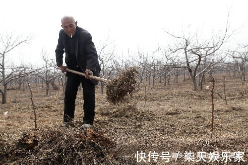 孙大叔|山西8旬农民大叔,吃“虫子”28年,看他身体成啥样