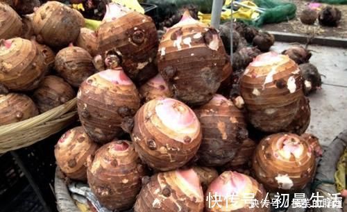 芋艿|此菜是天然“胶原蛋白”!预防衰老,保持肌肤水分,女人不妨多吃