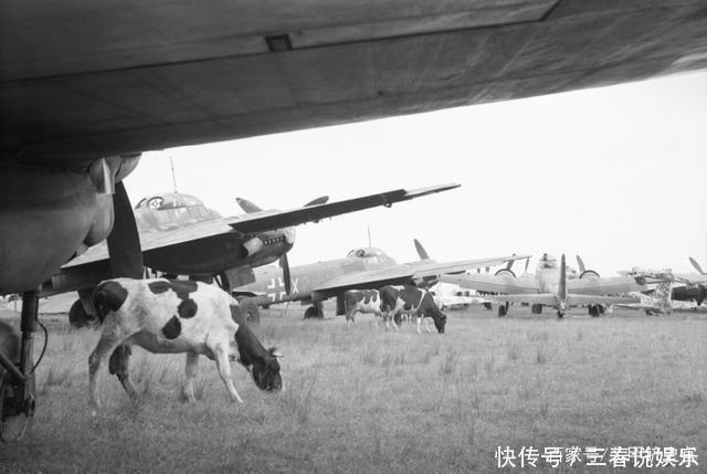 装备|末路的二战德军,被缴获的装备堆积如山,足以再打一场世界大战