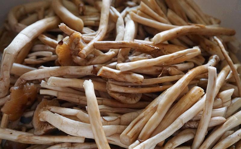 腊肉干锅茶树菇,妥妥的“米饭杀手”,手残党也能轻松搞定