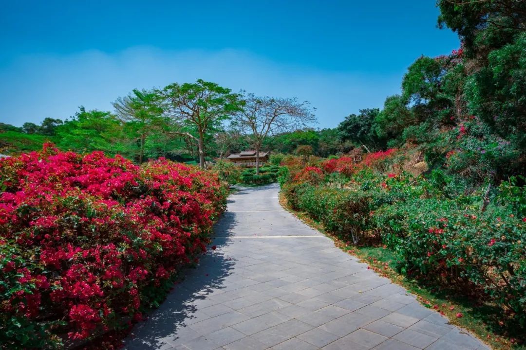 花溪|1日游必去！厦门这条跨山向海的景观大道串起超多小众美景！这么玩才过瘾