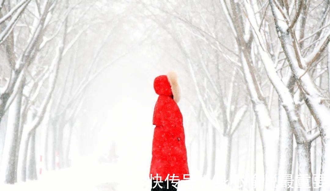 大雪#元代诗人一首咏雪七律，风竹云松银凤玉龙，浪漫主义情调让人心动