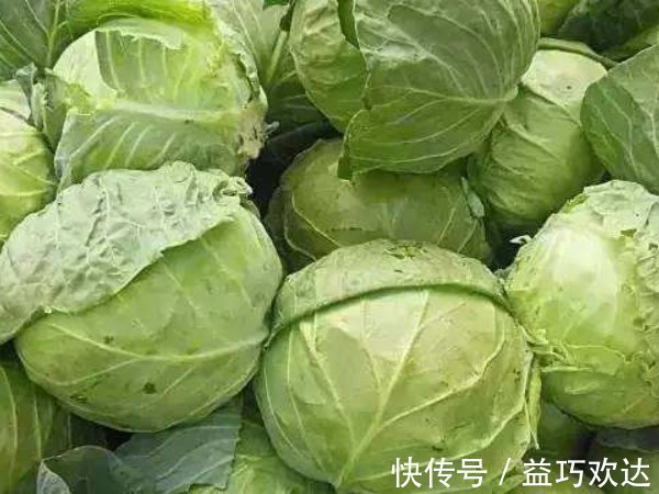 孕妇|“天然叶酸”被找到,孕妇经常吃,长胎不长肉,促进孩子大脑发育