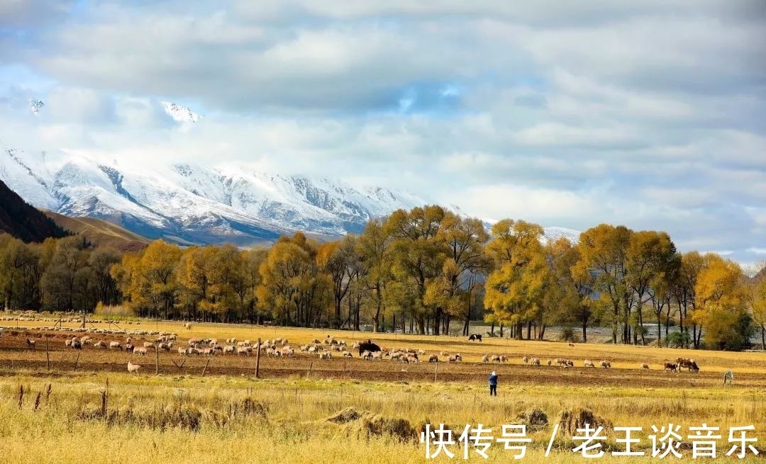 家乡|青海秋天风景最迷人的4个县，每一处都美上天，有你的家乡吗？