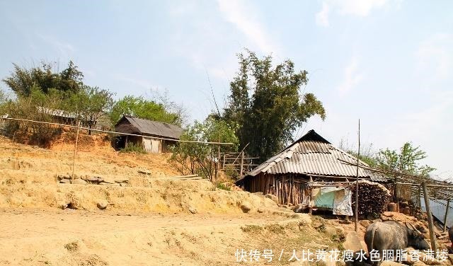 无用功|探究丨努力不一定有结果,你还会为某件事不懈努力吗