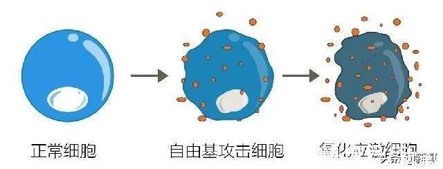 肤色|吃水果会导致皮肤变黄吗？