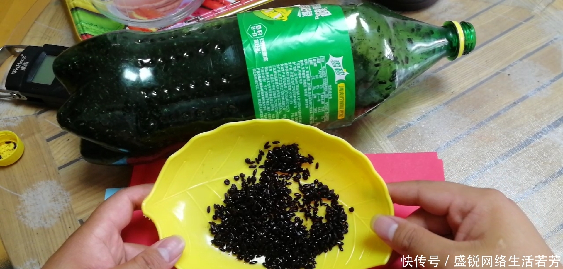 布窝打窝学问多,学会这样去打窝,才能诱鱼快钓得多!