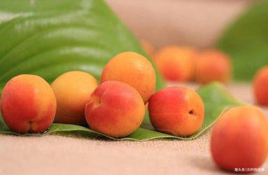 想长寿常吃几种食物，排毒护肤，平肝降压，增强抵抗力