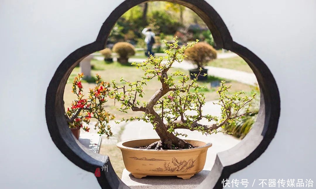 扬州当地人才知道的古典园林,瘦西湖门票100,这里却免费