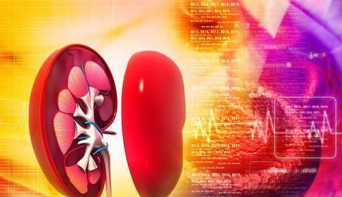 病理|6种不影响寿命的肾病，肾友可以安全活到老