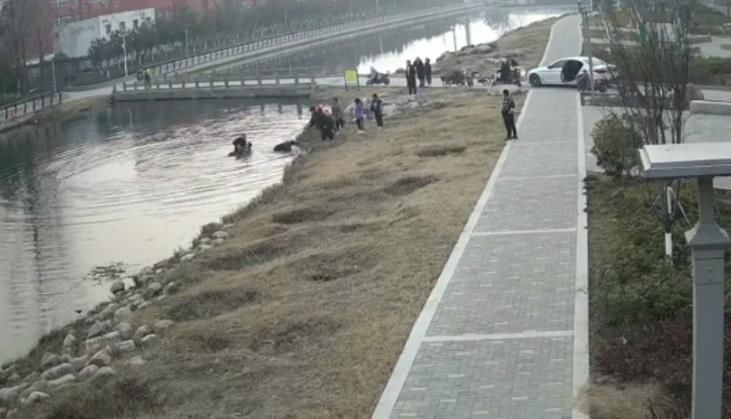 王敬涛|危急时刻飞身入水！寒冬腊月台前民警勇救落水小伙被群众点赞！