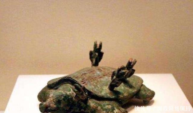 河边|老人河边钓鱼钓到一“乌龟”,背上插4支箭,专家看后说值18亿