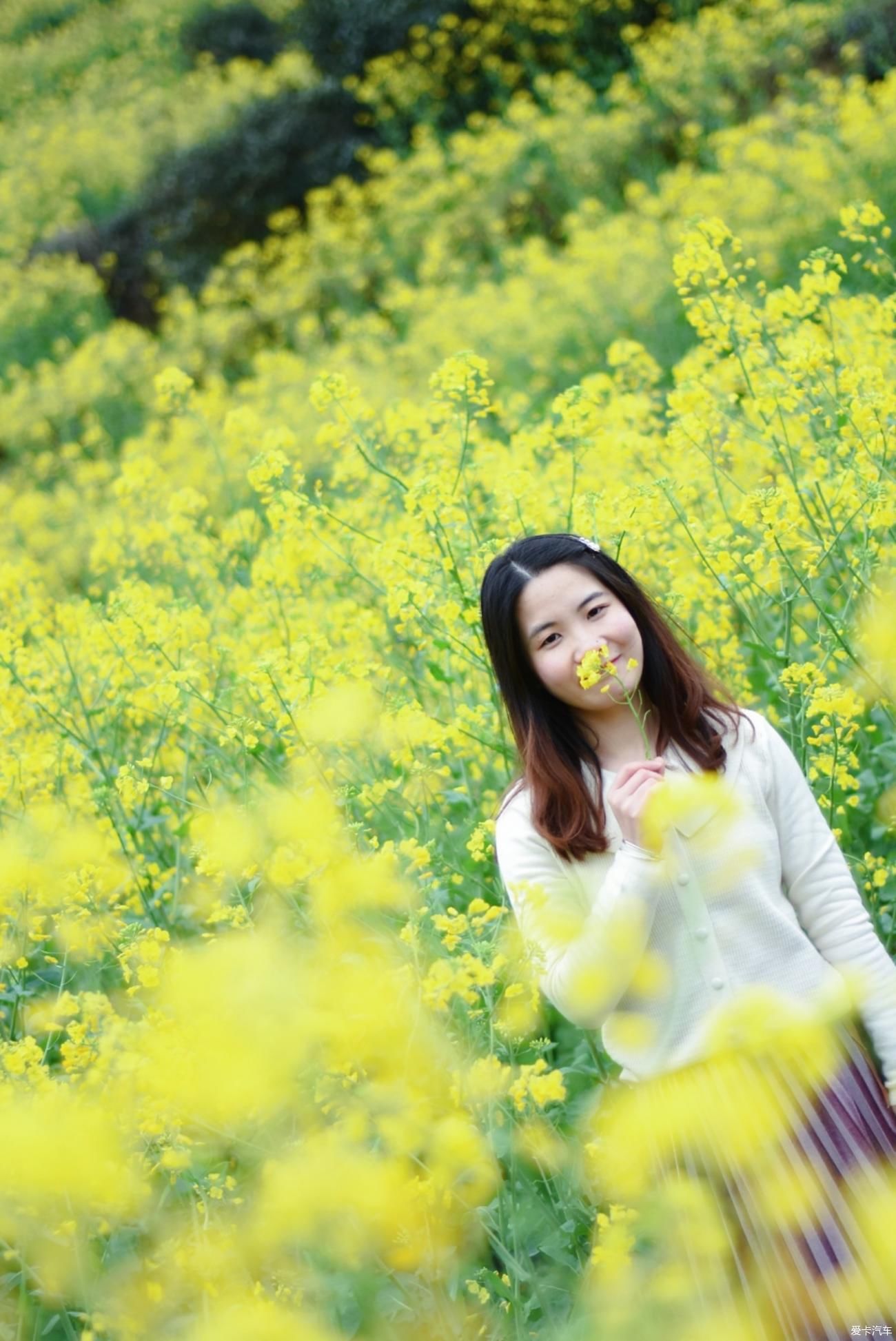 婺源|【春到婺源】记得住乡愁，江岭上开遍油菜花。